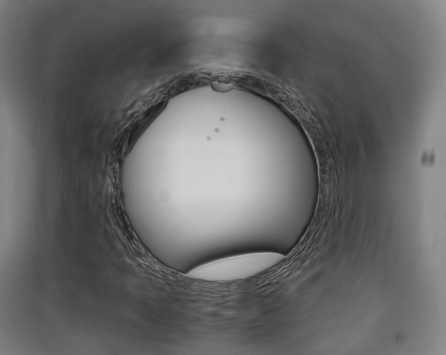 X0000091551397200708171032