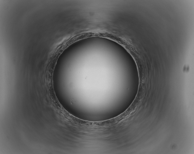 X0000091551398200708171032