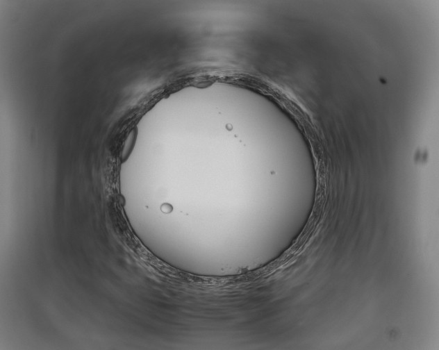 X0000091551399200708171032