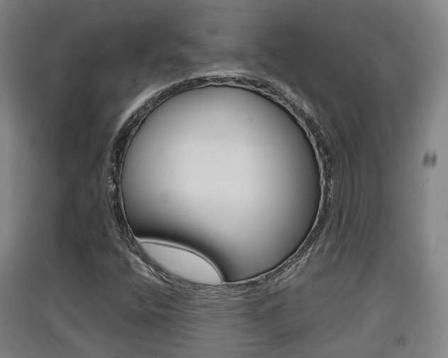 X0000091551400200708171032