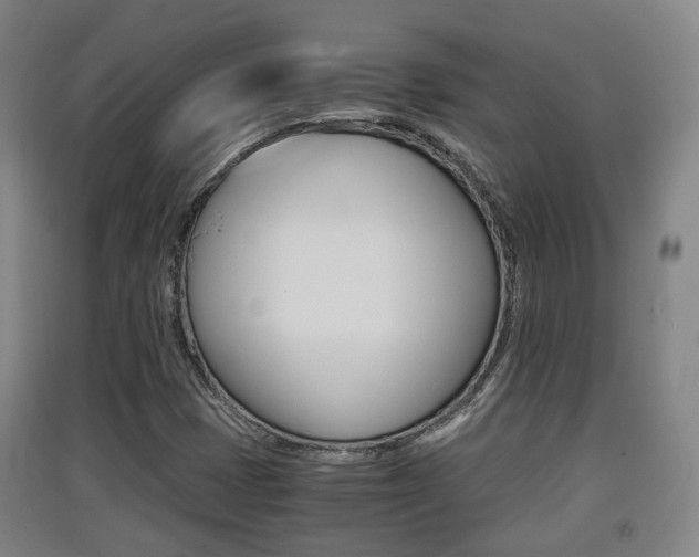 X0000091551401200708171032