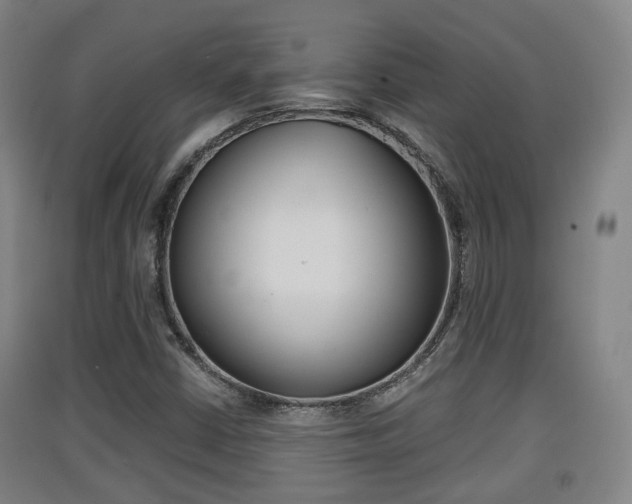X0000091551402200708171032