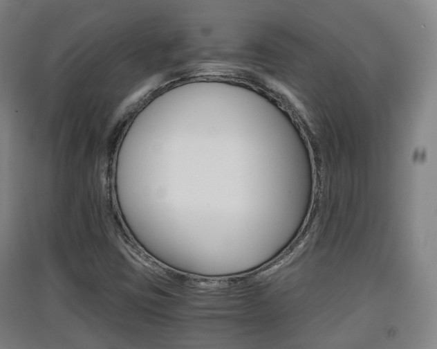 X0000091551403200708171032