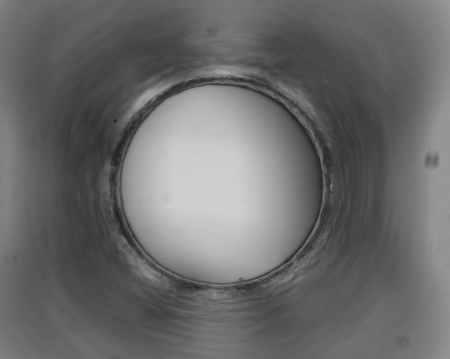 X0000091551404200708171032