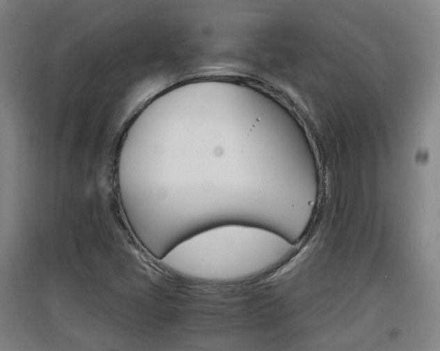 X0000091551405200708171032