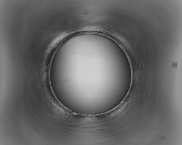 X0000091551406200708171032