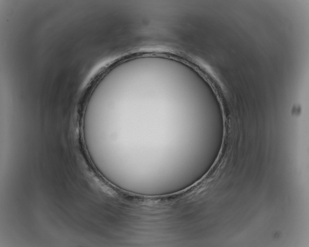 X0000091551408200708171032