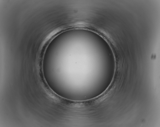 X0000091551410200708171032