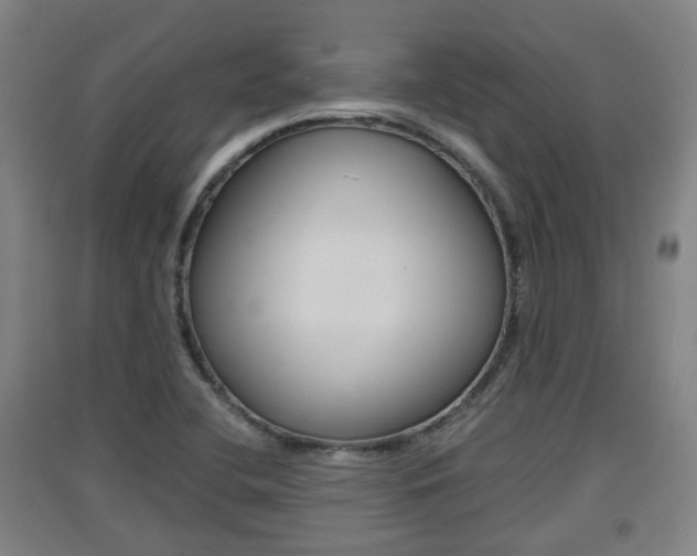 X0000091551412200708171032