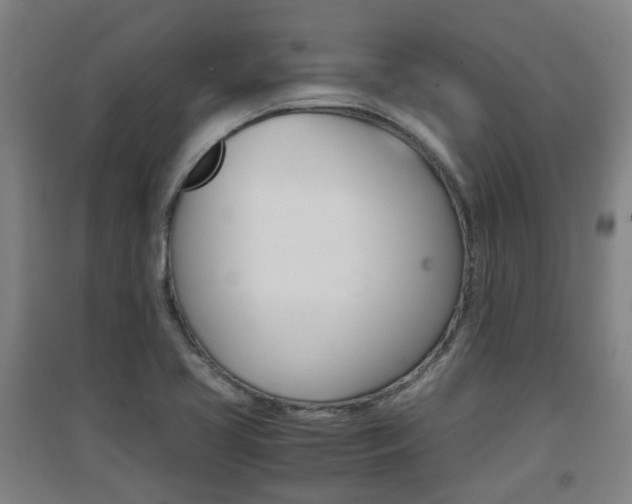 X0000091551413200708171032