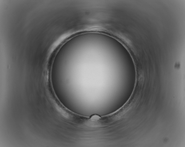 X0000091551414200708171032