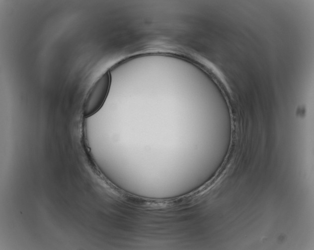 X0000091551415200708171032