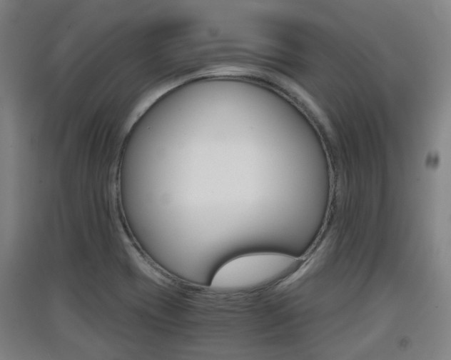 X0000091551417200708171032