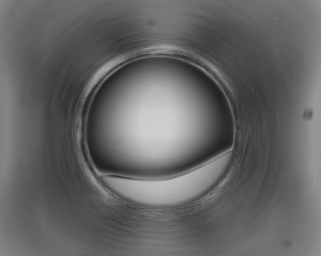 X0000091551418200708171032