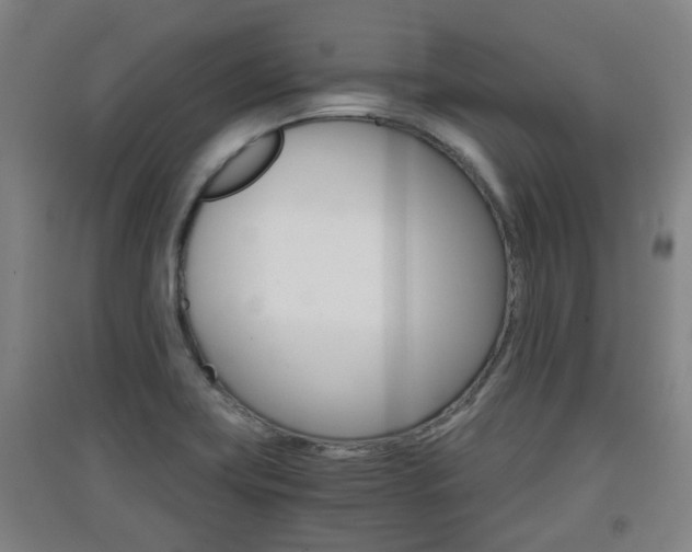 X0000091551419200708171032