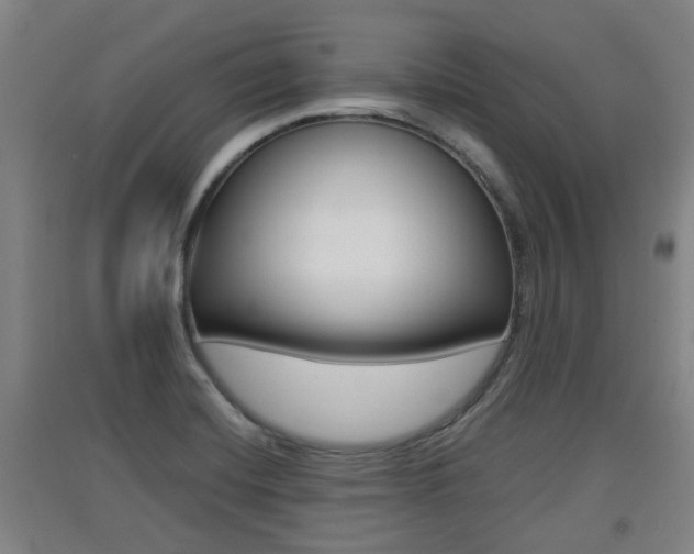 X0000091551420200708171032