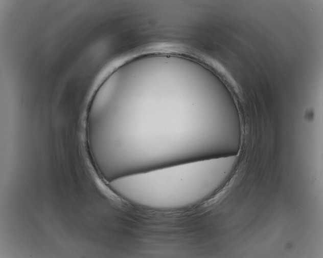 X0000091551421200708171032