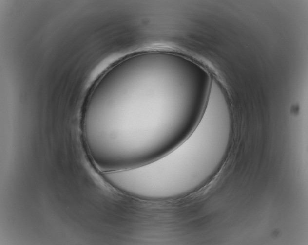 X0000091551422200708171032