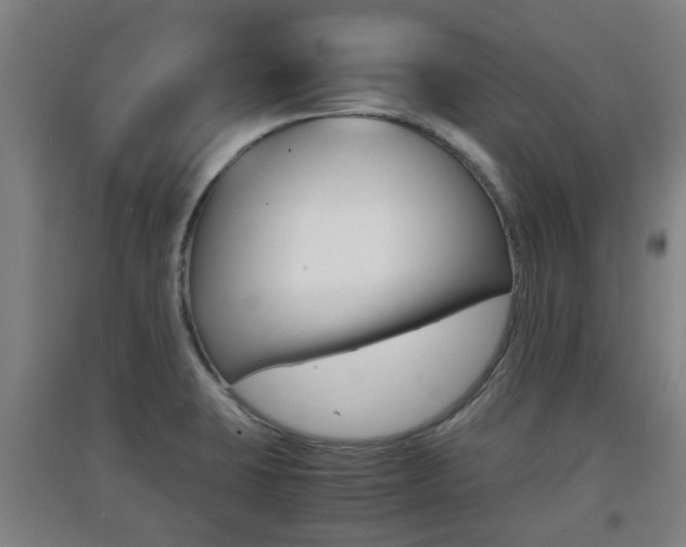 X0000091551423200708171032