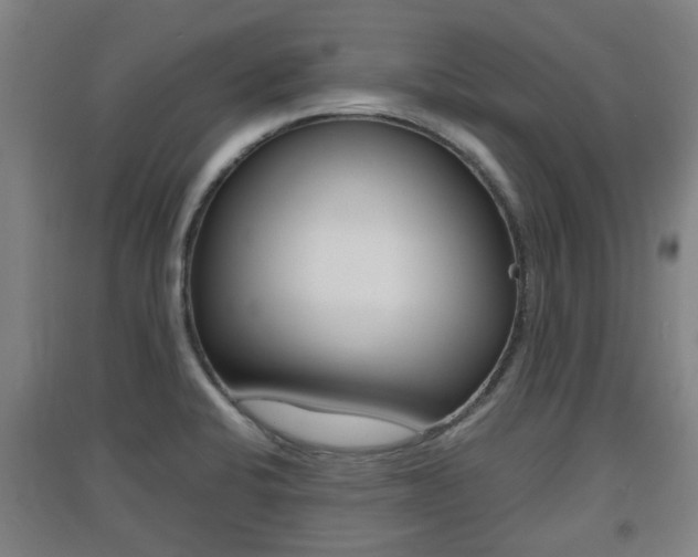 X0000091551424200708171032