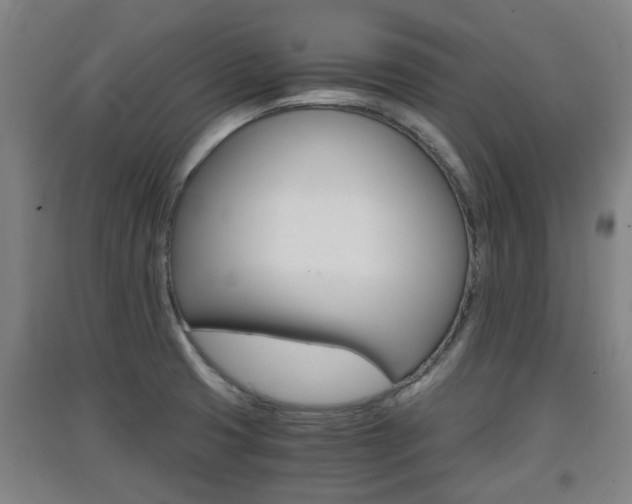 X0000091551425200708171032