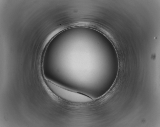 X0000091551426200708171032