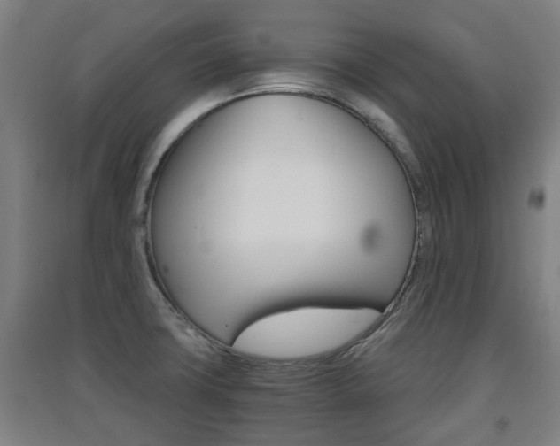 X0000091551427200708171032