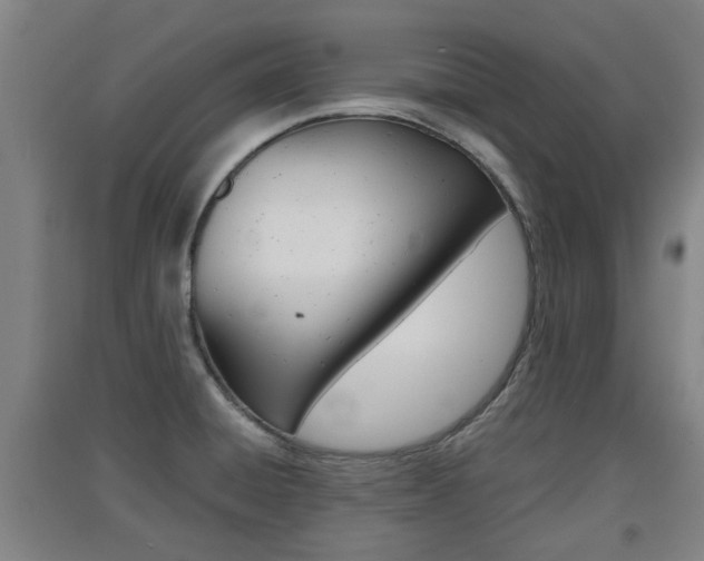 X0000091551428200708171032