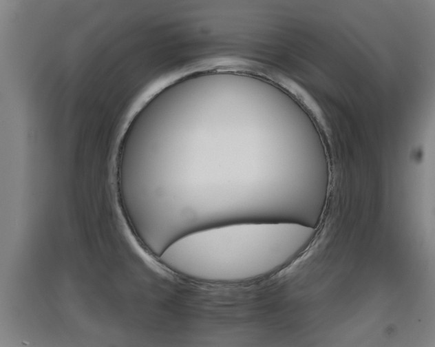 X0000091551429200708171032