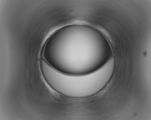 X0000091551430200708171032