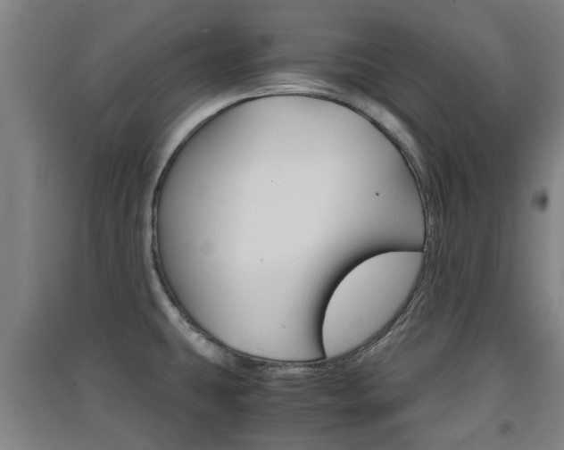 X0000091551431200708171032