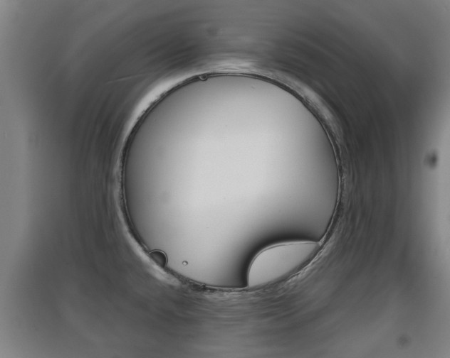X0000091551432200708171032