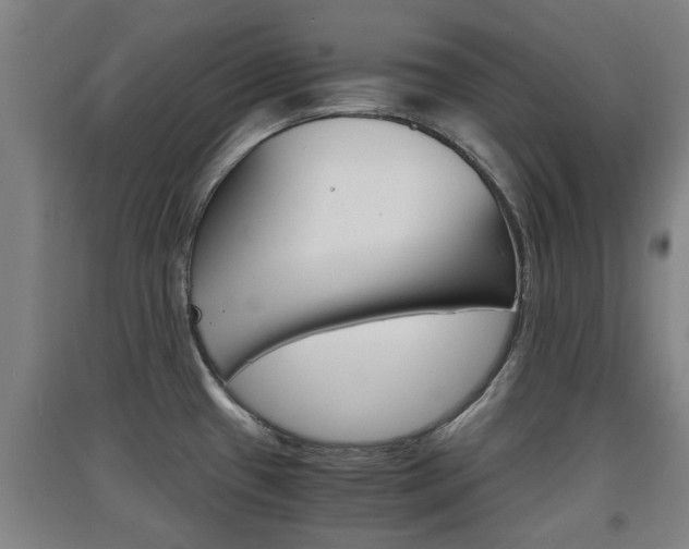 X0000091551433200708171032