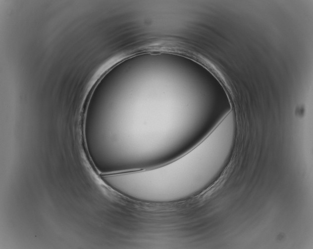 X0000091551434200708171032