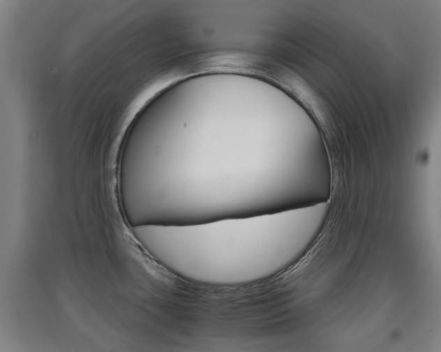 X0000091551435200708171032