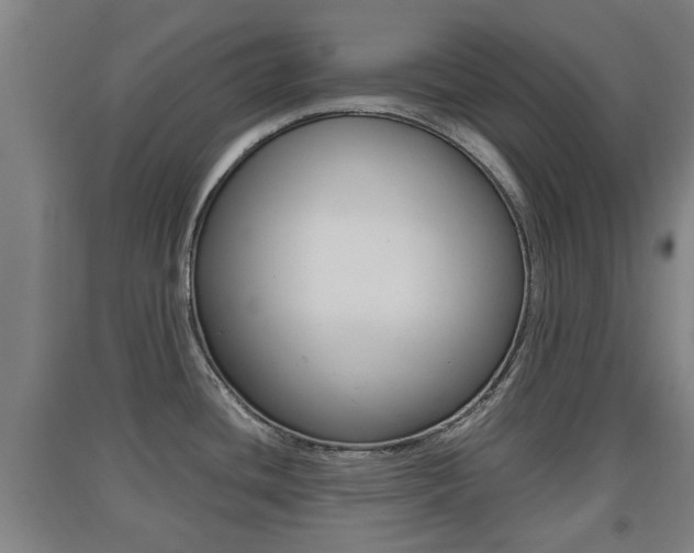 X0000091551436200708171032