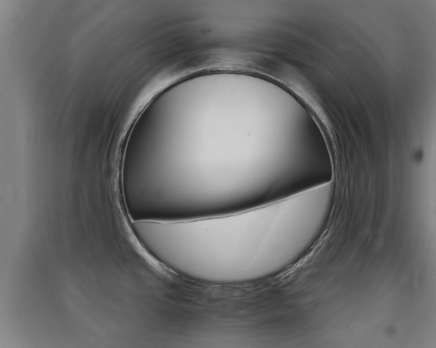 X0000091551437200708171032