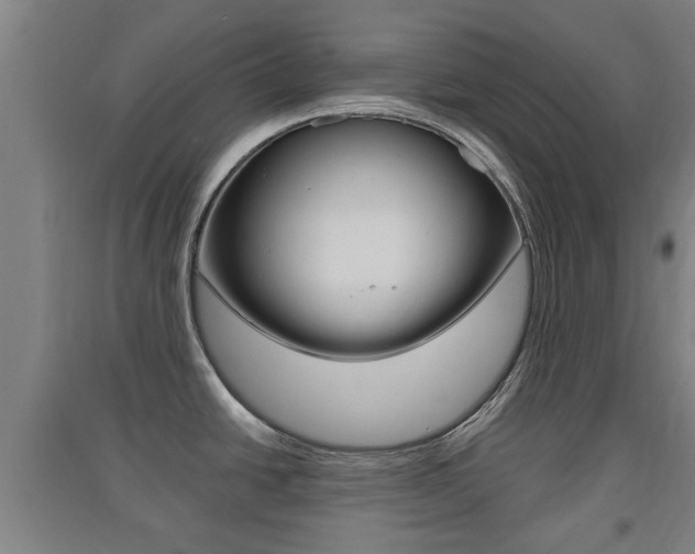 X0000091551438200708171032