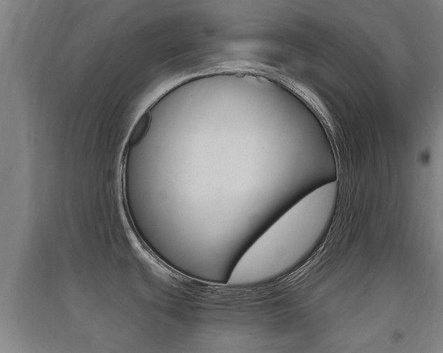X0000091551439200708171032