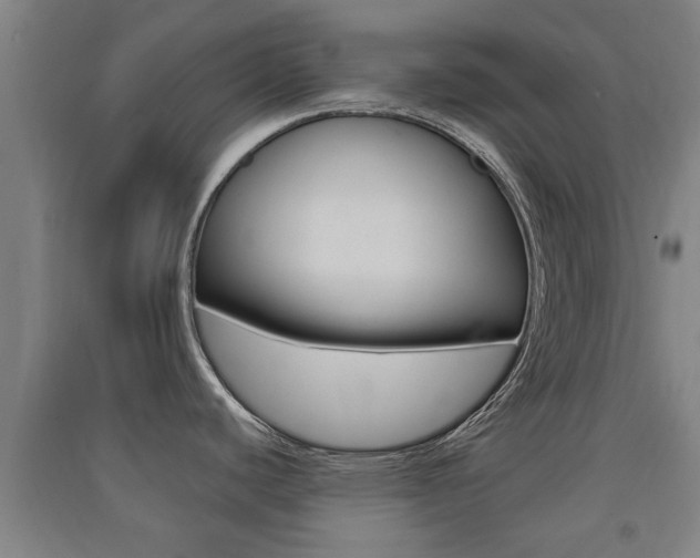 X0000091551440200708171032