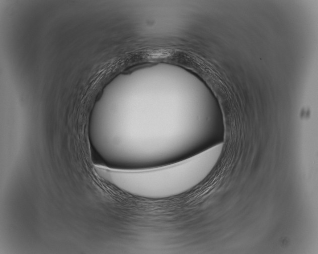 X0000091551441200708171031