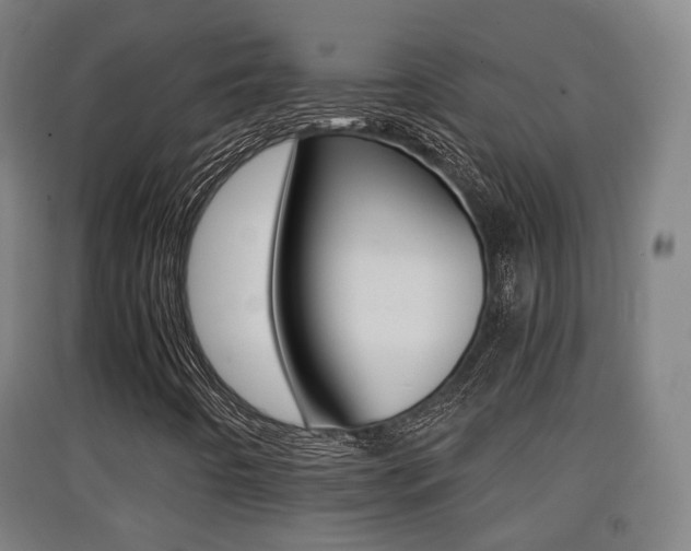 X0000091551442200708171031