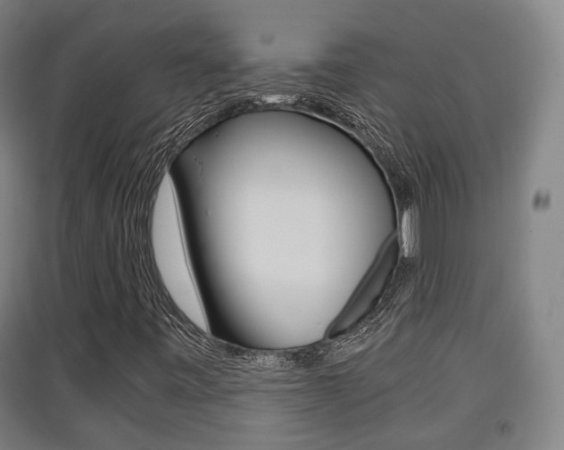 X0000091551443200708171031