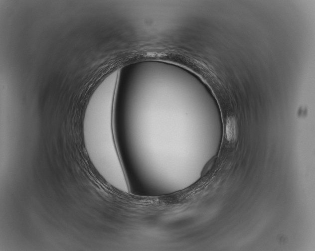 X0000091551444200708171031