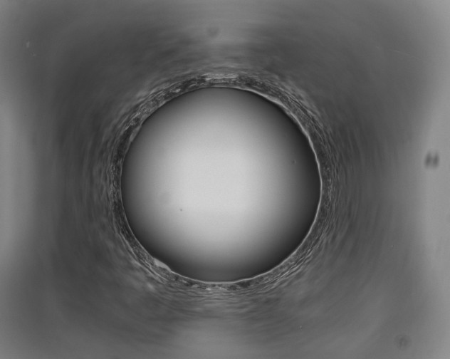 X0000091551445200708171031
