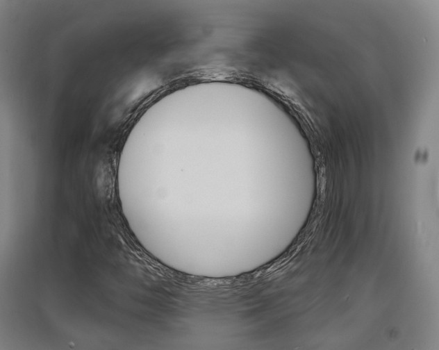 X0000091551446200708171031