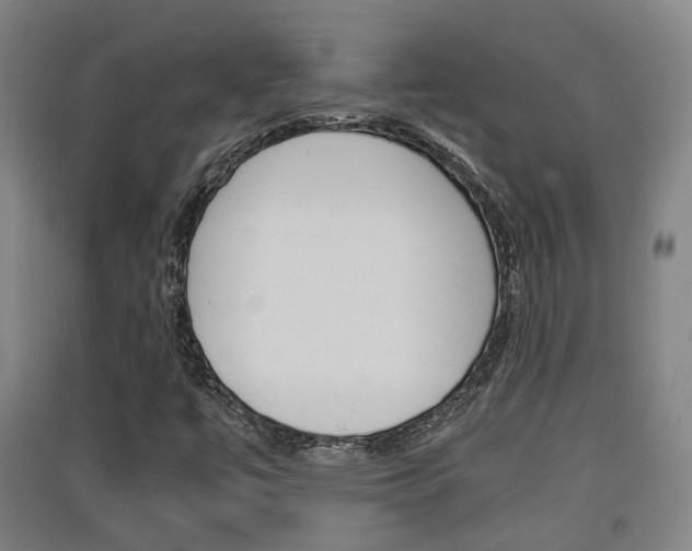 X0000091551447200708171031