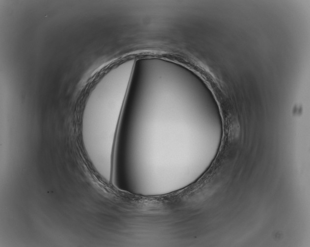 X0000091551448200708171031