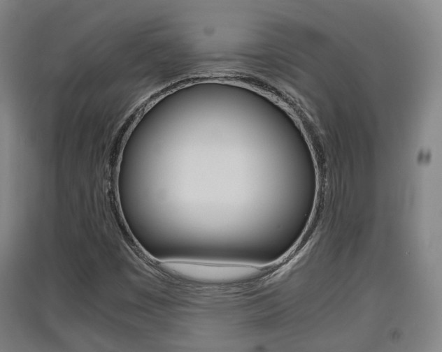 X0000091551449200708171031
