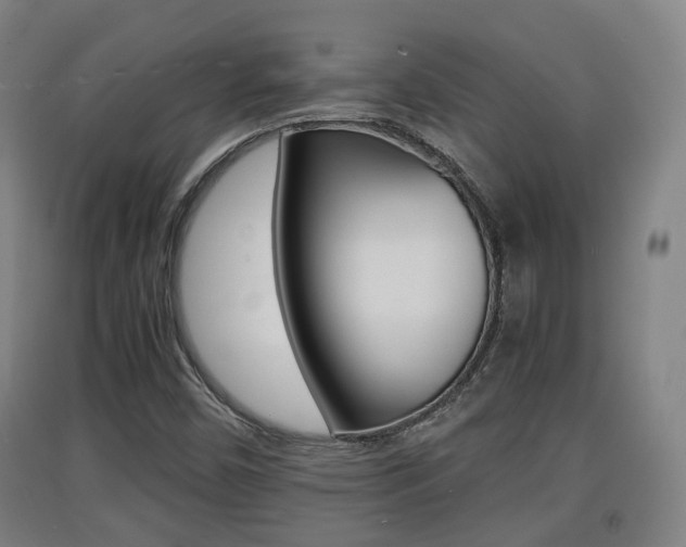 X0000091551450200708171031